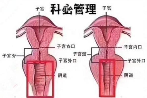 女性私密科2.jpg