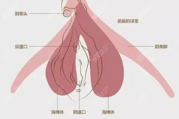 新疆石河子希望醫(yī)院