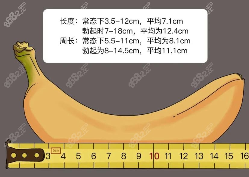 北京大学人民医院张国喜挂号