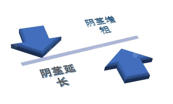 聂明医生生物补片延长增粗手术价格