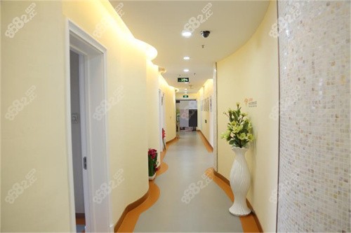 沈陽杏林整形走廊示意圖 沈陽杏林整形走廊示意圖