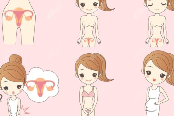 变性手术预算与注意事项：谨慎决策