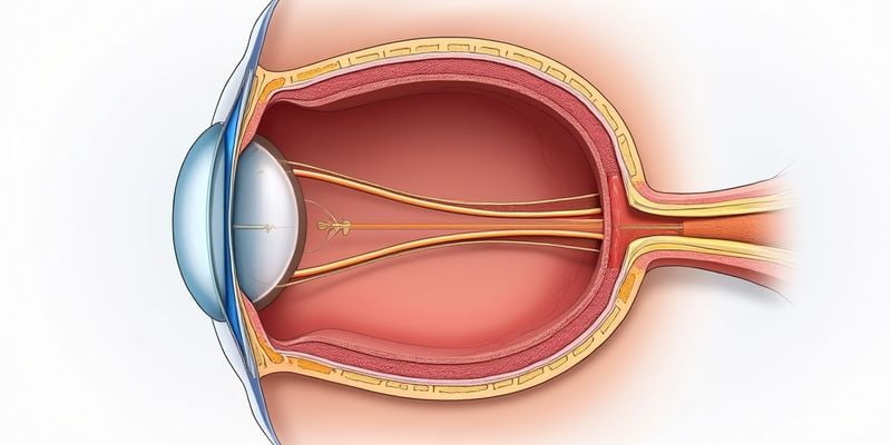 四、北京同仁視網(wǎng)膜脫落治療的成功實(shí)例與療效反饋