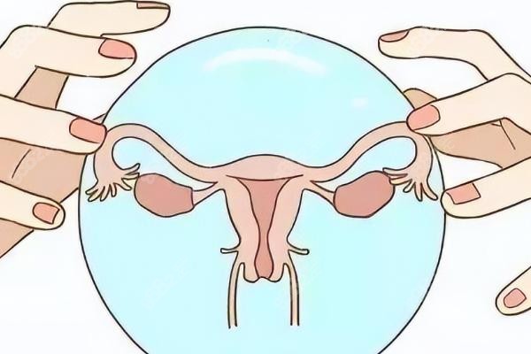 三、變性手術(shù)相關(guān)信息