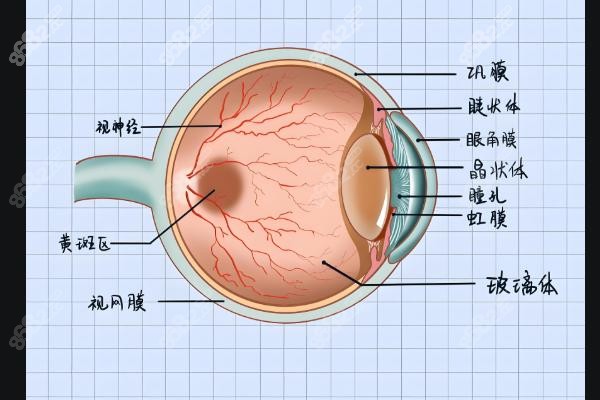號源充足，河南省眼科醫(yī)院,網(wǎng)上預(yù)約掛號,近視矯正項(xiàng)目,白內(nèi)障手術(shù)項(xiàng)目,青光眼手術(shù)項(xiàng)目,小兒斜弱視治療項(xiàng)目,技術(shù)設(shè)備優(yōu)勢