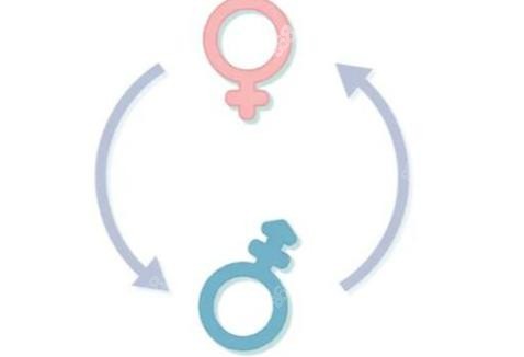 变性人夫妻,变性手术,日常生活,情感交流,社交生活,家庭生活,真实实例