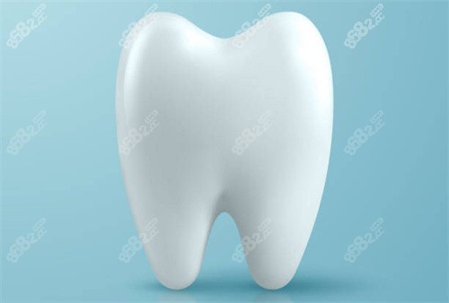 牙齿3D卡通图