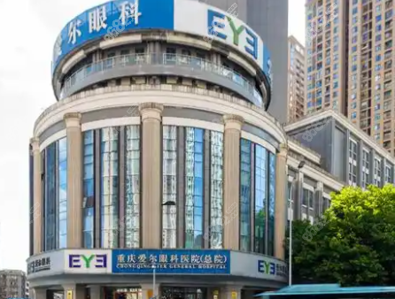 四、综合评价：专精团队铸就出色品质