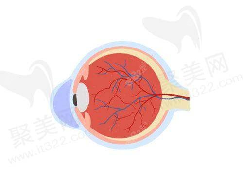 使用唐山眼科醫(yī)院24小時(shí)電話預(yù)約掛號(hào)的注意事項(xiàng)