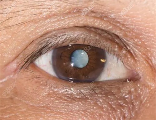 20251013196488.jpg 1724927415385.jpg