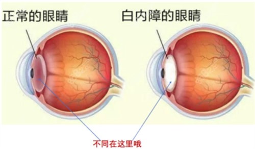 20251013248232.jpg 1724927427810.jpg