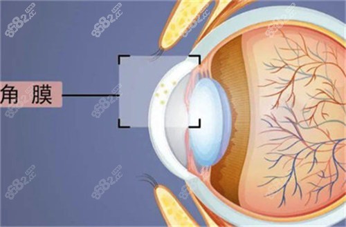 20251013849173.jpg 1721209296140.jpg