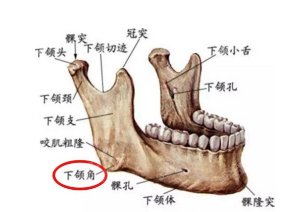 30601b95806f7b7bfce00705e469a4b.png