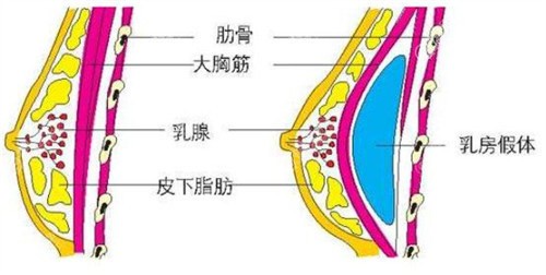 1730104079876.jpg