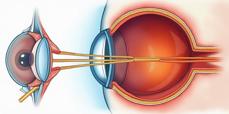 喬利亞超萬(wàn)例后鞏膜加固術(shù)揭秘：個(gè)性化方案+精細(xì)操作，3.5w+費(fèi)用物超所值