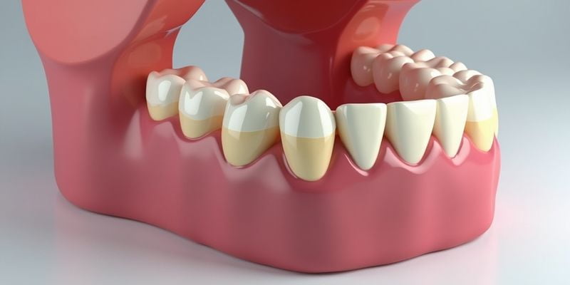 浙医二院口腔科就诊小贴士