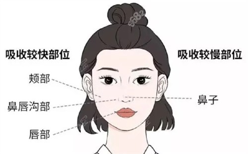 饅化臉修復方法 饅化臉修復方法