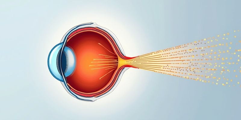 中山眼科医院APP预约挂号优势