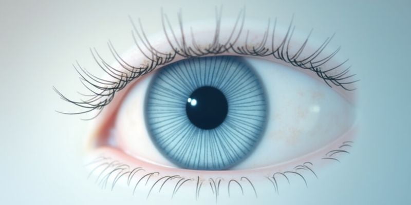 中山大学中山眼科中心怎么预约挂号？附全流程攻略及APP/微信操作指南