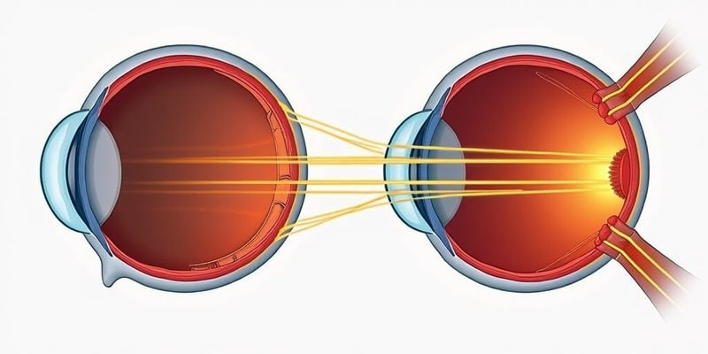 五、網(wǎng)上預(yù)約掛號相比傳統(tǒng)方式的優(yōu)勢