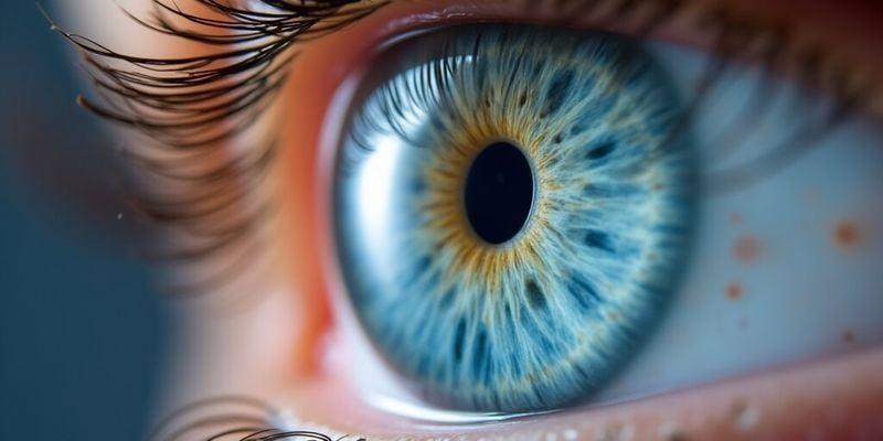 福州眼科医院网上预约挂号注意事项