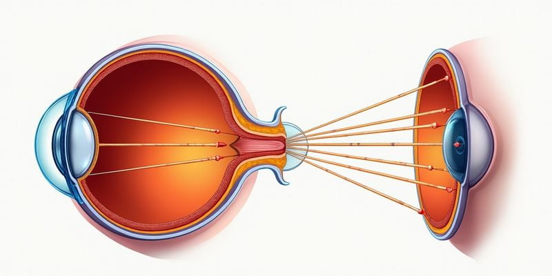葫蘆島眼科醫(yī)院醫(yī)生信息查詢與選擇