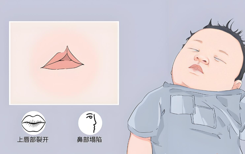 兒童專研與全齡修復(fù)的穩(wěn)準劃分