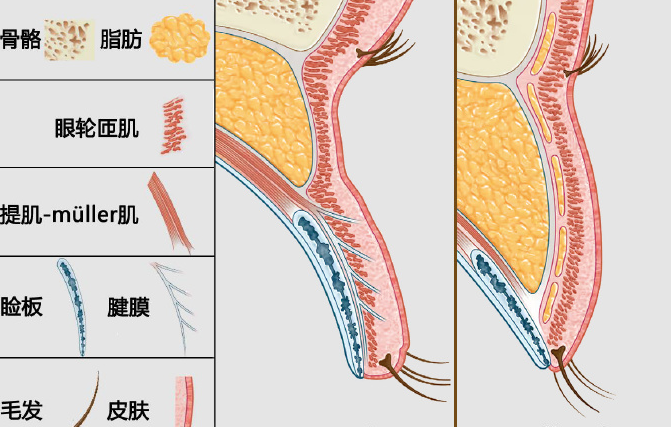 上海吕成医生有名