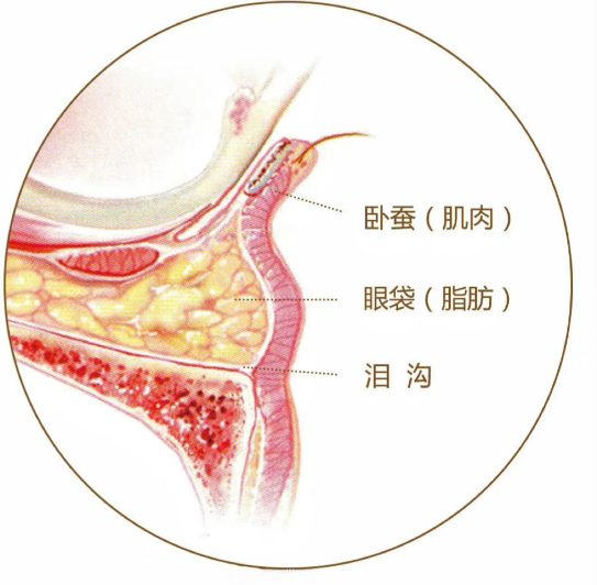 上海吕成医生有名吗