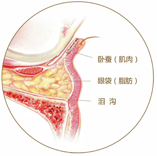 闭眼冲！上海高影医生双眼皮无需避雷，肉条消失变妈生眼，定制眼型不模板，口碑超稳还能显微镜缝疤痕～ 