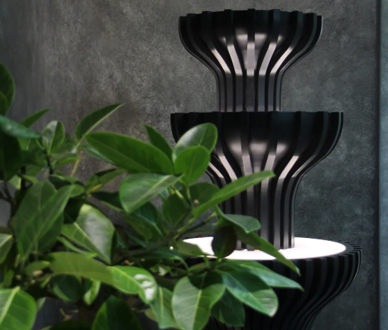 综合分析韩国 own 皮肤科的发展前景