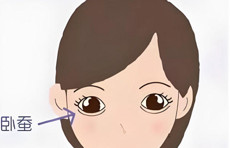 韓國(guó)打臥蠶反饋如何