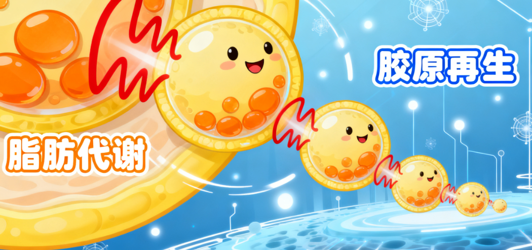 黃金微雕是智商稅嗎？聽聽專門建議