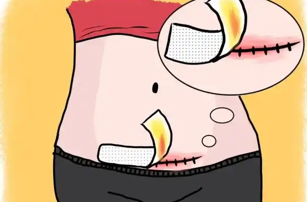 万晓楠医生3S人鱼体雕价格