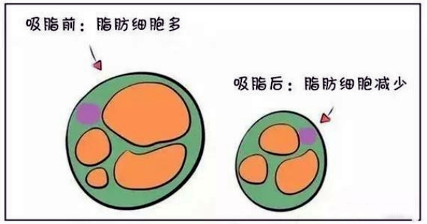 张立彬预约方式