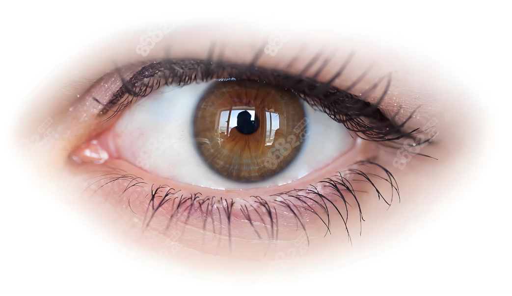 大連劉志剛醫(yī)生修復下眼瞼外翻怎么樣