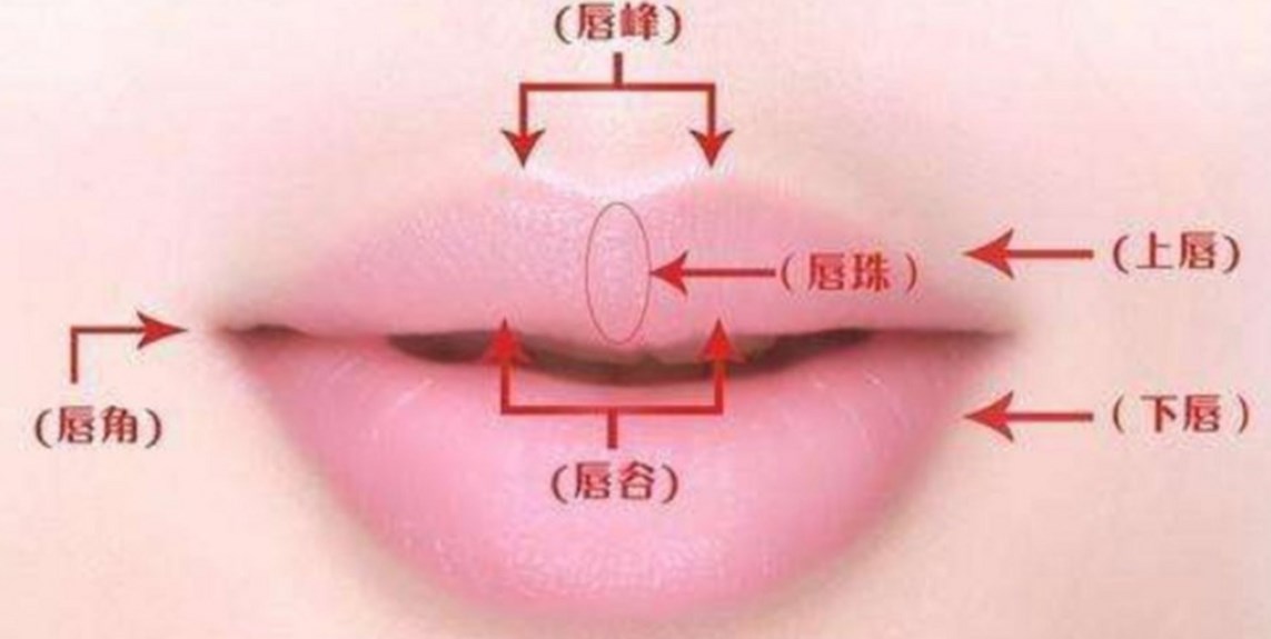 赵久丽博士做唇价格不贵