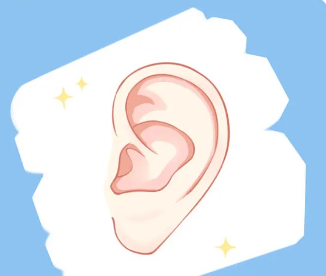 北京杨庆华小耳再造手术靠谱吗