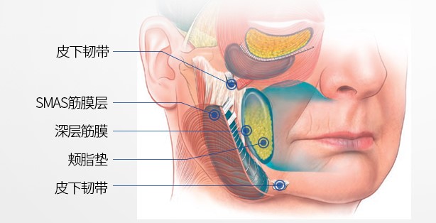 王易彬钻石网面部提升性价比高