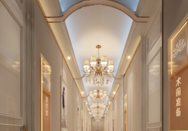 性价比评估与选择建议