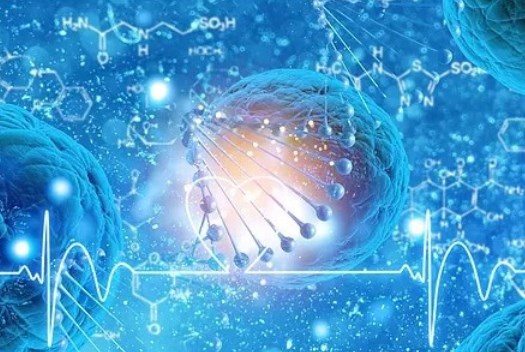 黎星医生取生长因子费用不坑