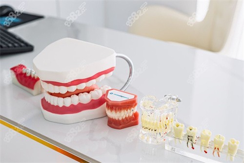牙齿模型图.jpg
