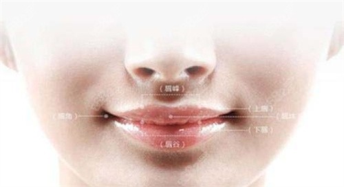 王曉健醫(yī)生人中縮短 王曉健醫(yī)生人中縮短