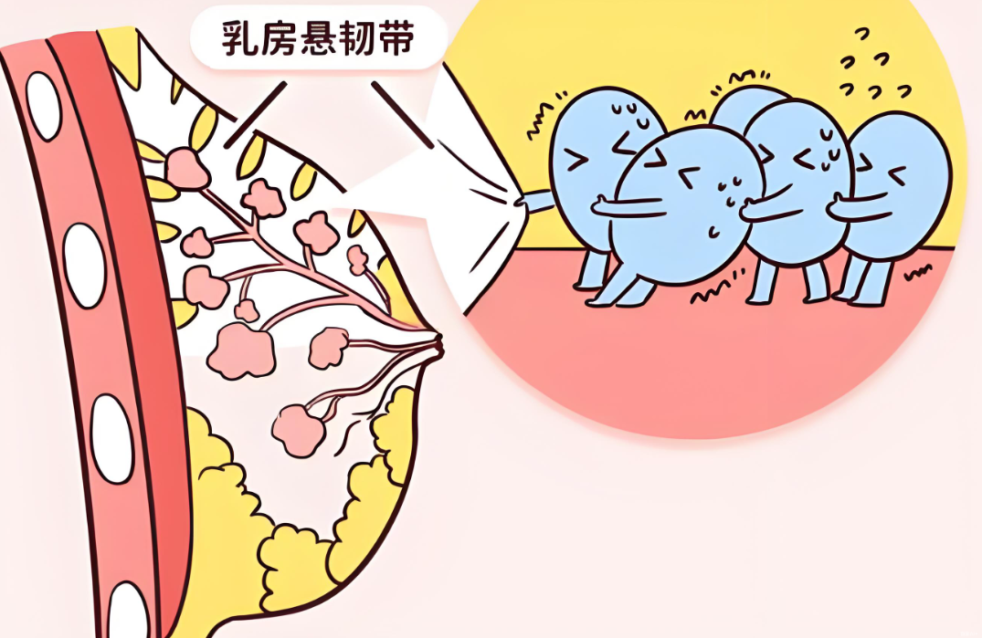 徐国建做乳房悬吊手术怎么样