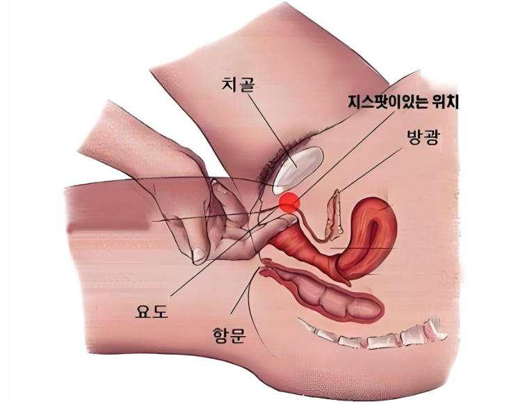 韩国女性私密整形医院哪家好