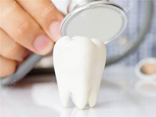 20251106636763.jpg 牙齿模型.jpg