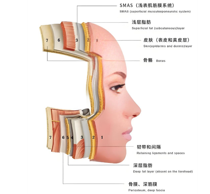 張本軍www.66ub.cn