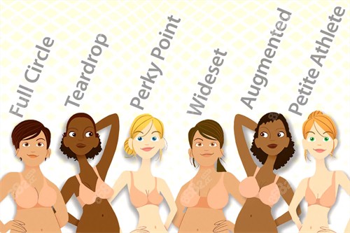 20251107980434.jpg 不同的胸型.jpg