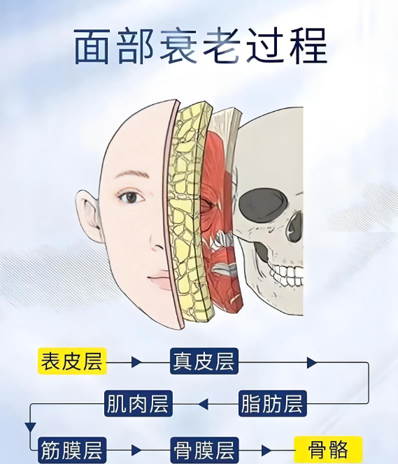 朱自刚面部抗衰好不好www.8682.cc