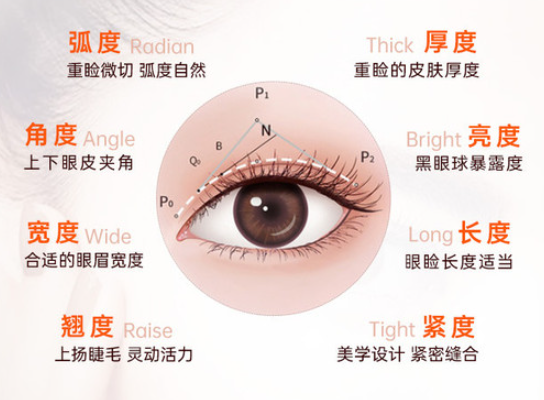 佀同帅和邹功伟谁做双眼皮比较好